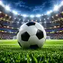 散场以后还想聊两句配图